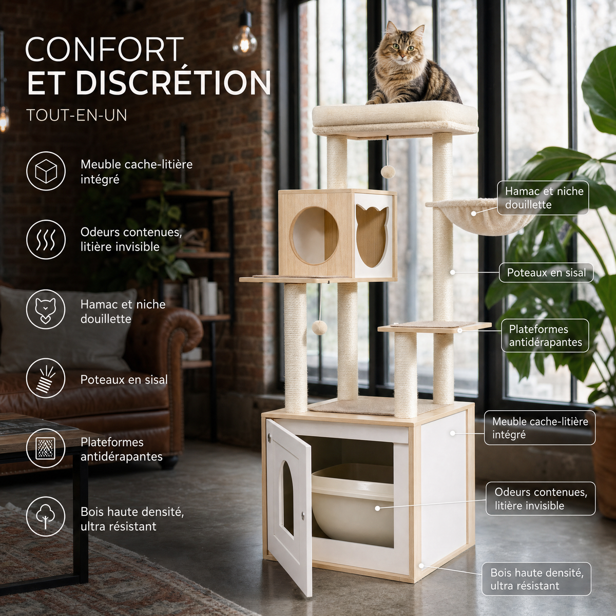 Le Cabinet – L'arbre à chat qui garde vos secrets bien rangés