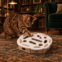 Chat Bengal chassant une balle dans La Boîte à Malice dans une bibliothèque élégante