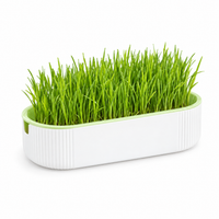 Le Jardin d'Oscar, bac hydroponique pour herbe à chat, sur fond blanc