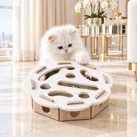 Chaton persan blanc jouant avec La Boîte à Malice dans une suite lumineuse