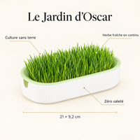 Caractéristiques du Jardin d'Oscar : 21 × 9,2 cm, culture sans terre, zéro saleté, herbe fraîche en continu