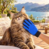 Brossage d'un chat Maine Coon avec La Caresse sur la terrasse d'une villa au bord du lac d'Annecy