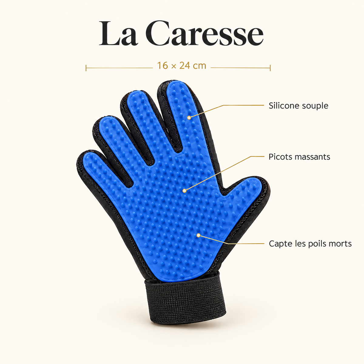 Caractéristiques de La Caresse : 16 × 24 cm, silicone souple, picots massants, capte les poils morts