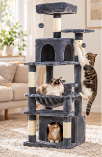 Le Nid – L'arbre à chat où naissent les plus douces habitudes
